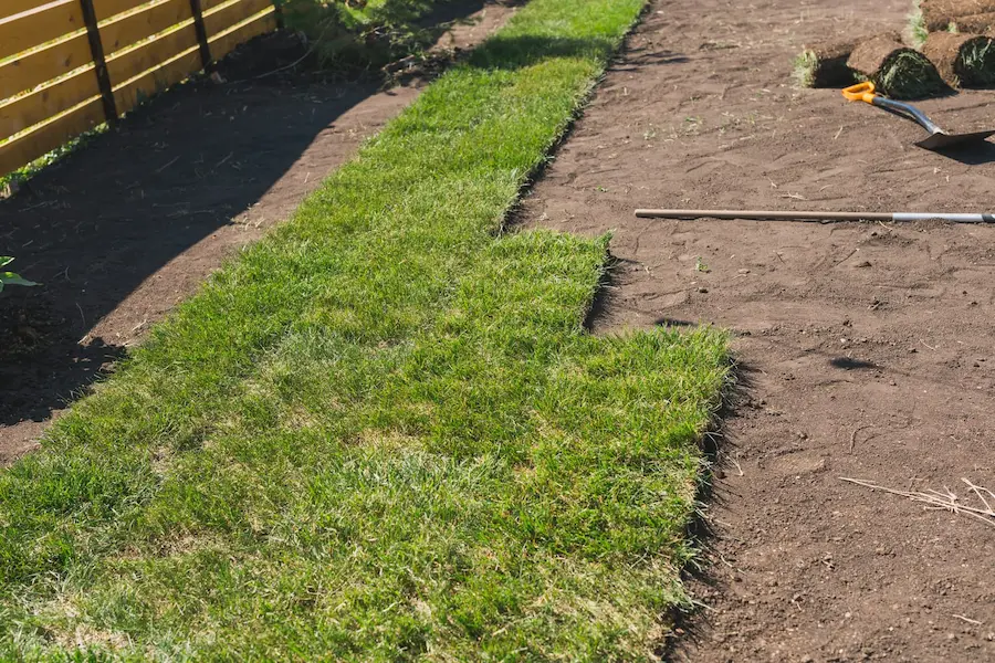 Fresh sod being installed as a property enhancement for a new green lawn