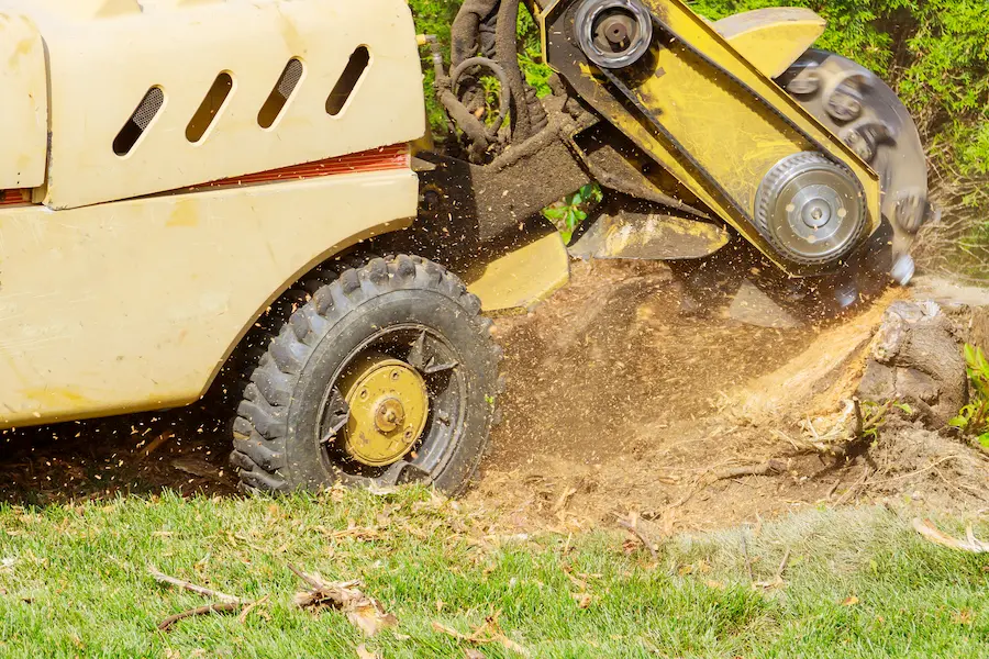 drum-roller-development